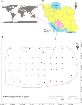 Spatial prediction of winter wheat yield gap: agro-climatic model and machine learning approaches